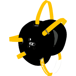 Black / Gold