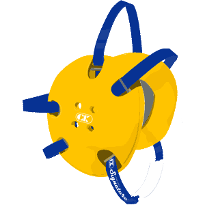 Gold / Royal Blue