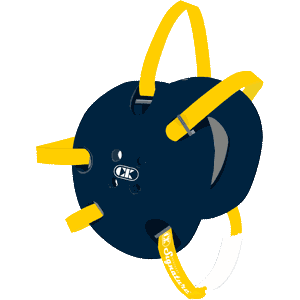 Navy Blue / Gold