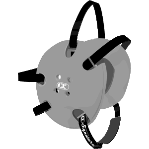 Silver Gray / Black
