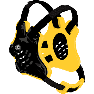 Black / Gold