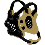 Black / Vegas Gold