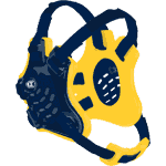 Navy Blue / Gold